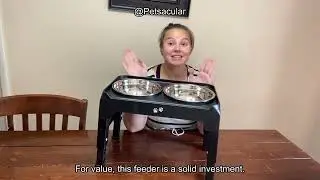 Elevated Dog Bowls Review: Adjustable Heights & Durable Design &ndash; Worth It for Your Pup?