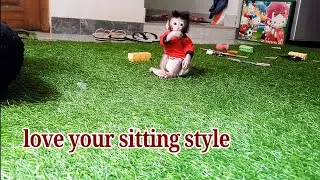 Baby monkey libby sitting like a baby human,, and very tiny like a premature baby.