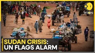 UN: Sexual Violence Used As Weapon of War In Sudan | WION News