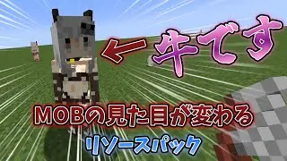 【マイクラ】モブが美少女になるモッド！！cute mob models resource packで追加される見た目紹介！！【マインクラフト】
