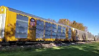 Norfolk Southern Auto Rack Train
