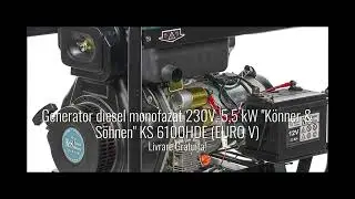 Generator diesel monofazat 230V, 5,5 kW 