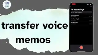 How to transfer voice memos from iPhone to computer - Full Guide