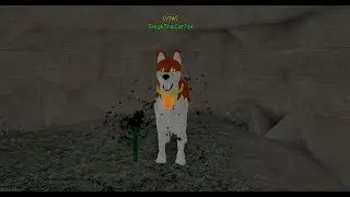 (OLD) Roblox - Wolves' Life 2 ᵇᵉᵗᵃ - All Hidden Flower Locations