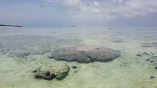 ZANZIBAR MATEMWE BEACH odliv jan 2022
