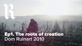DOM RUINART 2010 | Ep. 1 The Roots of Creation