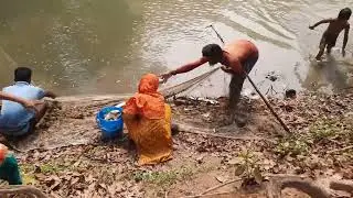 Fish cutting market big boy fish amazing opportunity how fish cutting market village life village24