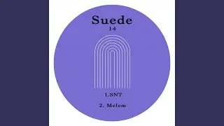 Snt