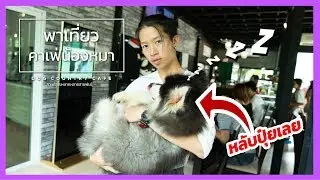 พาเที่ยวคาเฟ่น้องหมาน่ารักมากๆ | Dog Country Cafe