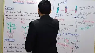 Lecture No 05 || Methods Of Artificial Vegetative Propagation Class 10 In Urdu Hindi By Mr.Hadi