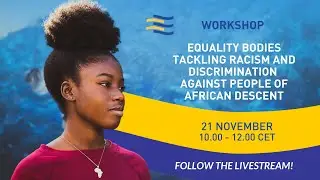 Workshop: Equality Bodies tackling racism and discrimination against people of African descent