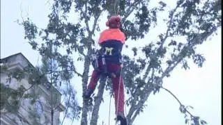 Fête de la Palombe 4