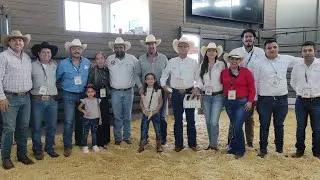 &iexcl;&iexcl;YA EMPEZ&Oacute; LA SUBASTA LO MEJOR DEL BRANGUS EN CHIHUAHUA!!