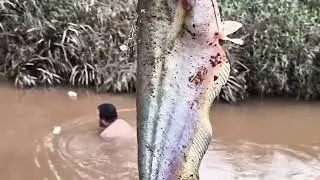 MENCARI IKAN WAKTU SENJA, TIDAK PEDULI ADA BUAYA