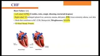 Nurse Practitioner Crash Course | High-Yield Board Review (AANP & ANCC)