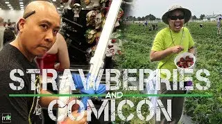 Strawberry Picking AND Tidewater Comicon 2018 - FAMILY FUN! | mishandkimVLOGS