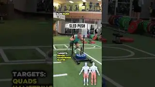 Sled Push Muscles Worked