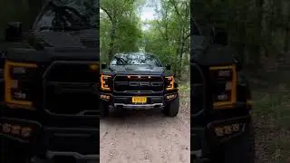 2018 Ford F-150 Raptor #shorts #ford #black