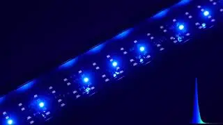 Freshwater Aquarium Lights