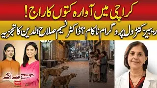 Karachi reports over 800 dog bite cases in first week of year | Hum News | Pakistan