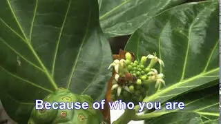 Because of Who You Are - Minus One