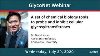 GlycoNet Webinar ft. David Kwan: Chemical biology tools to inhibit cellular glycosyltransferases