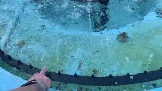 Touching the Little Fountain&rsquo;s Nozzles at Forrestal Village