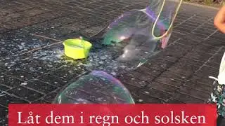 Vi ber...