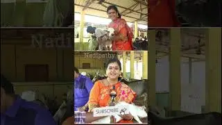 Cow Hug Experience #yt #cow #indian #cute #good #post  #hug #video