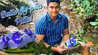 Butterfly Pea Pittu! A new way to enjoy pittu in this New Year! | Katarolu Pittu | Wild Cookbook