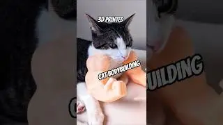 3D Printed Massive Cat Arms #catmeme
