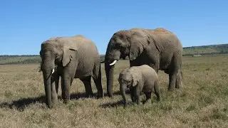 South Africa Field Course | University of Leeds