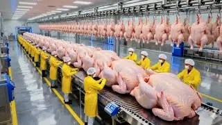 Inside the Chicken Factory: How KFC Makes 70 Million Burgers Daily (Full Process)