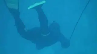 Spearing female hogfish