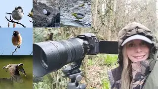 Spring Bird Watching in Cornwall