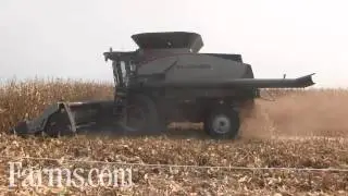 Gleaner Combine at Farm Progress Show 2015 Field Harvesting Demo