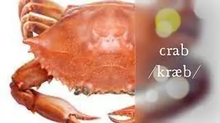 English Vocabulary Seafood