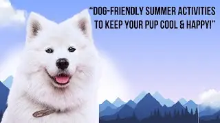 &ldquo;Dog-Friendly Summer Activities to Keep Your Pup Cool & Happy!&rdquo;