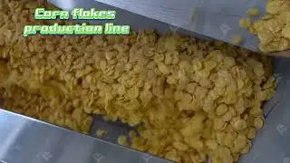 How Does LOYAL's Corn Flakes cereal Machine Transform Cereal Production? #cornflakes #machine