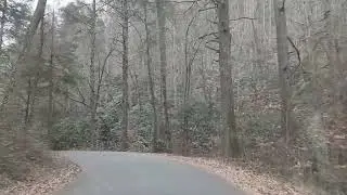 Не хлебом единым