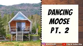 DANCING MOOSE PT. 2 - A #CAPEBRETON SPRING TRIP!