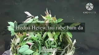 Primitive way of fishing/Traditional fishing/Derek Riame// @Zeme Naga