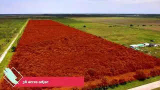 Chambers County, Texas 140 Acres