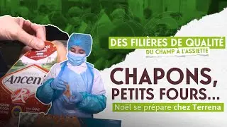 Dans les coulisses du rush de No&euml;l chez Galliance et Tipiak