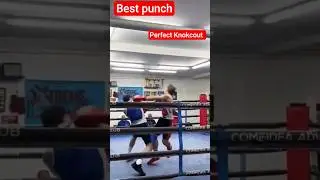 #knockout 398 #onepunch #hardko #pfl2 #tai #bestboxing #KO #빠른 녹아웃 #one #ufc #녹아웃 #pfl #권투  #नॉक आउट