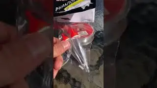 Первая поплавочная рыбалка на стальноголового лосося (Великие озера)