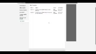 AeriaGames ticket bug .