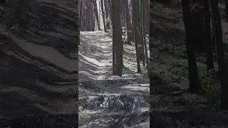 ASMR BUILD A WARM LOG CABIN IN 24 HOURS - Survival Bushcraft.