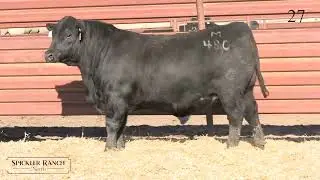 Spickler Ranch North Lot 27