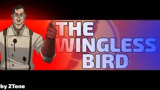 WHAT MEDIC BOSS BATTLE THEME SHOULD SOUND LIKE | 2Tone music | THE WINGLESS BIRD